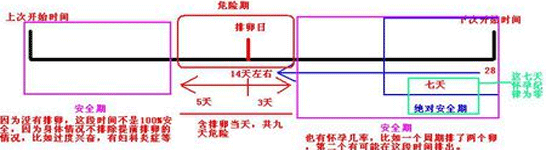 安全期和危险期怎么算