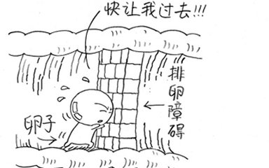 促排卵的方法