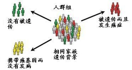 癌症会遗传吗