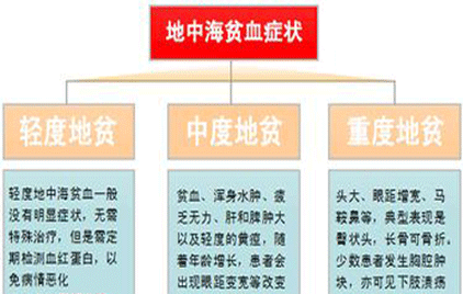 地中海贫血是什么怎么检查
