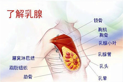 防治乳腺增生六种按摩方法来帮你