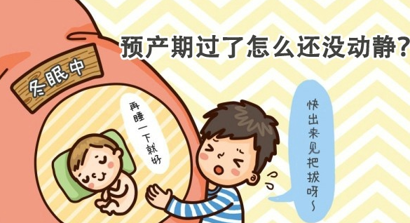 断奶后奶涨怎么办