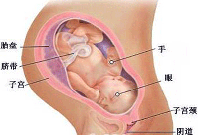胎儿入盆注意事项