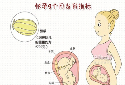 孕妇9个月注意事项