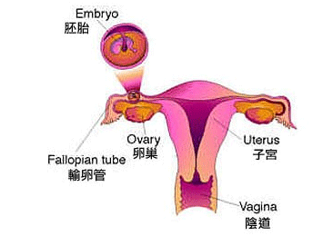 月经过后出血9种原因需警惕