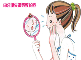 调节内分泌失调吃什么