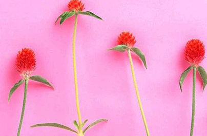 预防妇科病警惕盆腔脓肿四种表现
