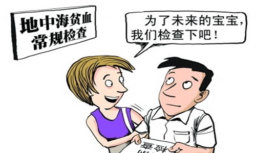 地中海贫血吃什么好