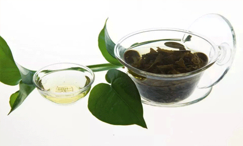 降血压的茶