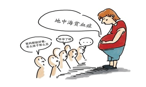 地中海贫血吃什么好