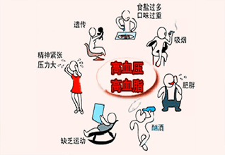 怎样预防高血压