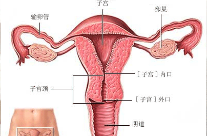 子宫炎症的症状