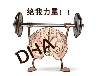 婴儿补充dha吃什么