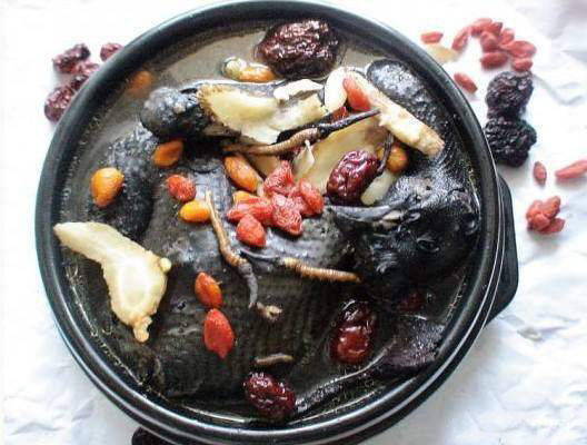 营养均衡荤素搭配的备孕食谱