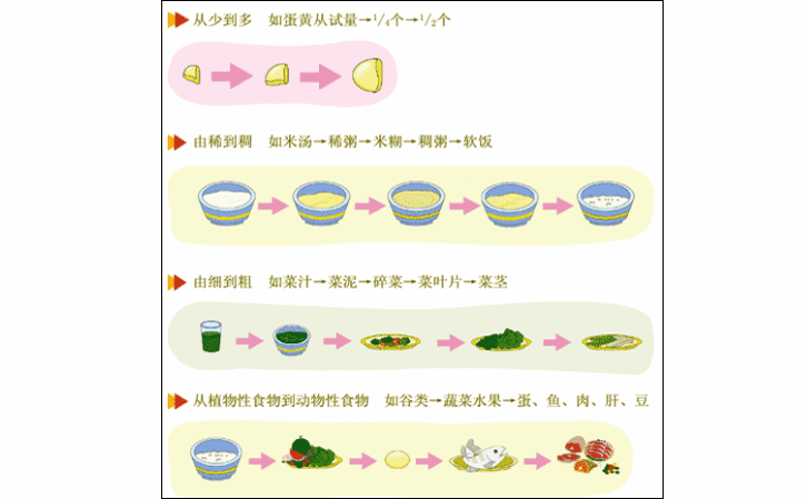 宝宝辅食添加顺序和原则