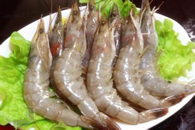 8个月宝宝辅食推荐：虾蓉小馄饨