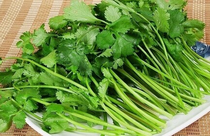 孕妇能吃香菜吗