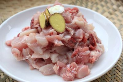 “怀孕不可以吃兔肉”是错误的