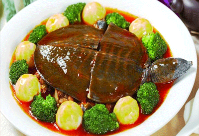 鳖食用禁忌