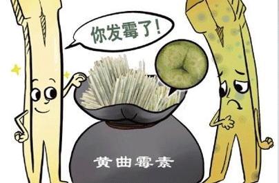 黄曲霉素是什么六种致命食物要远离