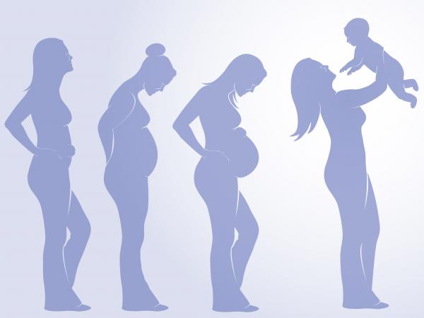 孕妈妈营养不良该吃些什么