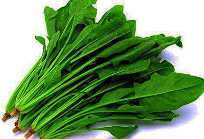 孕妇能吃菠菜吗