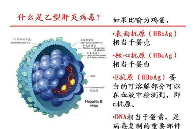 乙肝五项有哪些