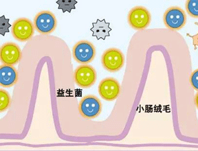 宝宝益生菌怎么吃