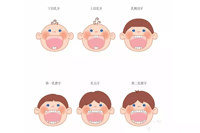 乳牙有几颗