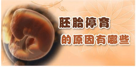 怀孕三个月胎停原因