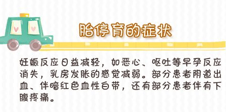 怀孕三个月胎停症状