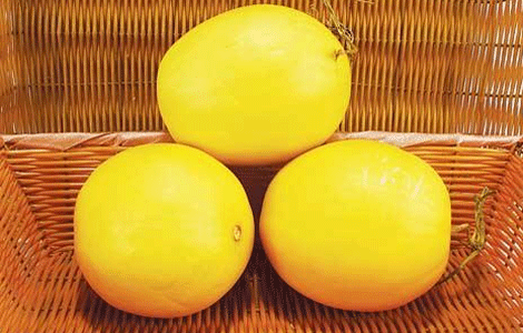 伊丽莎白瓜选购指南