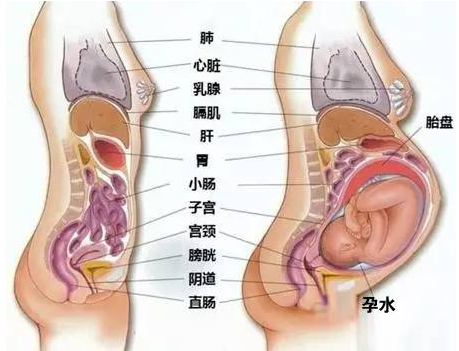孕妈妈们怀孕中期是有很多注意事项的哦