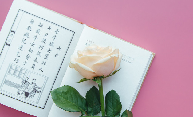 桃子香味的茶是什么茶