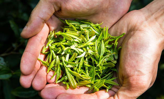 奶茶杯是可回收垃圾吗