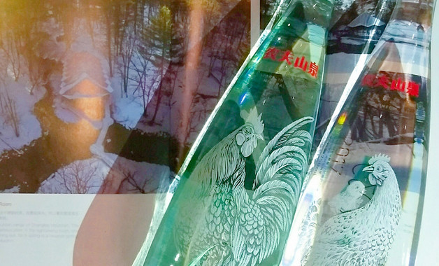 傅雷家书1955年批注赏析