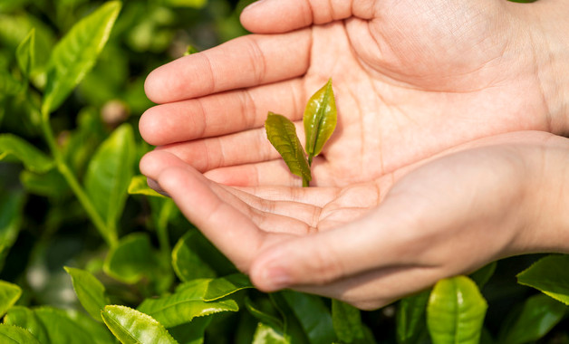 电影院可以带奶茶吗
