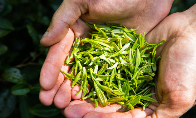西柚冰茶怎么做