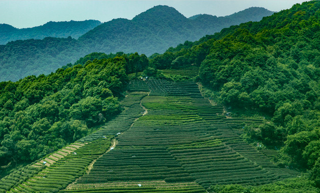 保温杯奶茶味道怎么洗掉