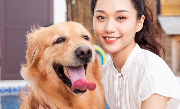 晚上没有人陪狗玩一直叫怎么办
