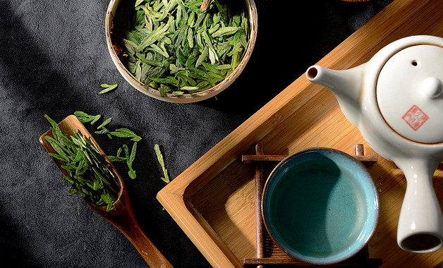 冬天种茶树怎么做